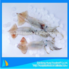 tasteful fresh frozen baby squid with healthy seafood